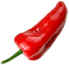AllStoreCafe Shape